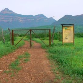 Peru’s Chaparrí Conservation Area: A Wildlife Reserve in the Tumbesian Dry Forests